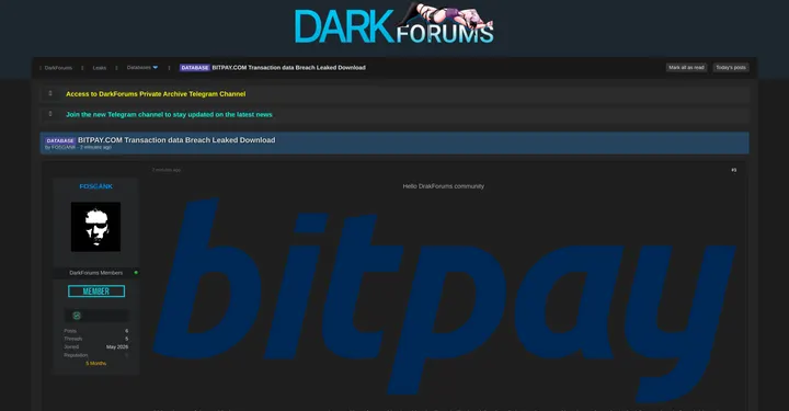 BitPay被指发生数据泄露，超800万条记录流出
